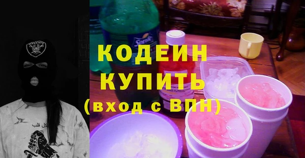 индика Приозерск