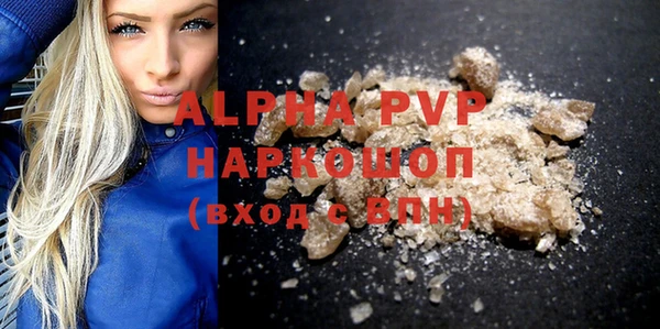 индика Приозерск