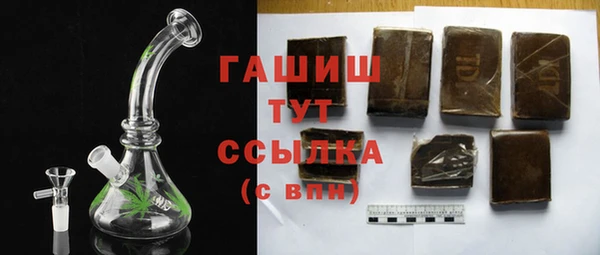 индика Приозерск