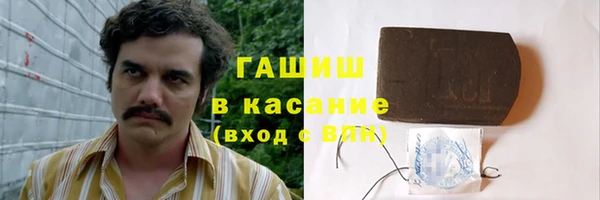 индика Приозерск