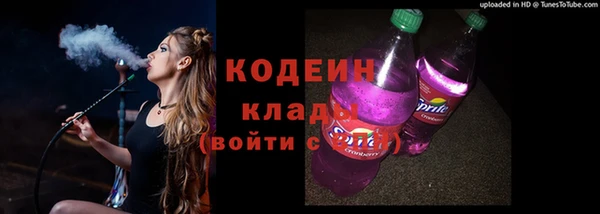 индика Приозерск