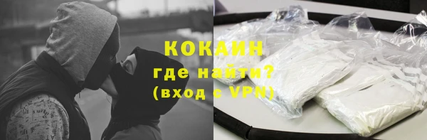индика Приозерск