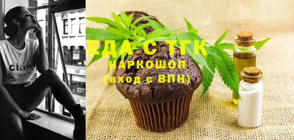 индика Приозерск