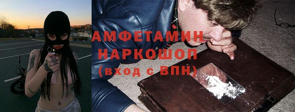 индика Приозерск